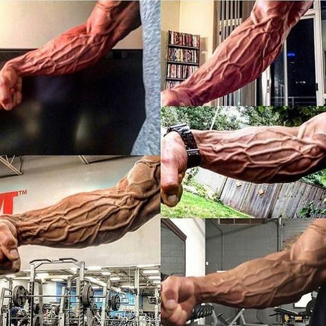 Veins popping like.. Veiny Arms, Forearm Workout, Workout Meal Plan, Arms Workout, How To Shade, Street Workout, Workout Plan Gym, After Workout, Gym Workout Tips