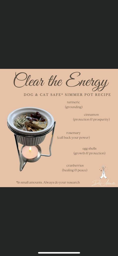 Spiritual Cleanse For Home, Spell Simmer Pots, Witch Simmer Pot Diy, Healing Simmer Pot, Simmer Pot Spells Witchcraft, Simmer Pot For Cleansing Negative Energy, Mini Simmer Pots Witchcraft, Abundance Simmer Pot, Witchcraft Simmer Pot Recipes