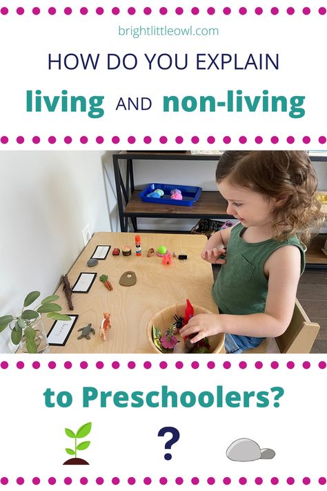 Montessori Science Activities, Montessori Crafts, Montessori Science, Science For Toddlers, Practical Life Activities, Primary Lessons, Montessori Ideas, Practical Life, Montessori Toddler