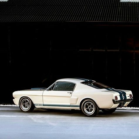 Boss Mustang, Mustang 67, Gt Mustang, Classic Mustangs, Mustang Classic, Gt 350, Ford Mustang 1964, Ford Svt, Daytona Coupe