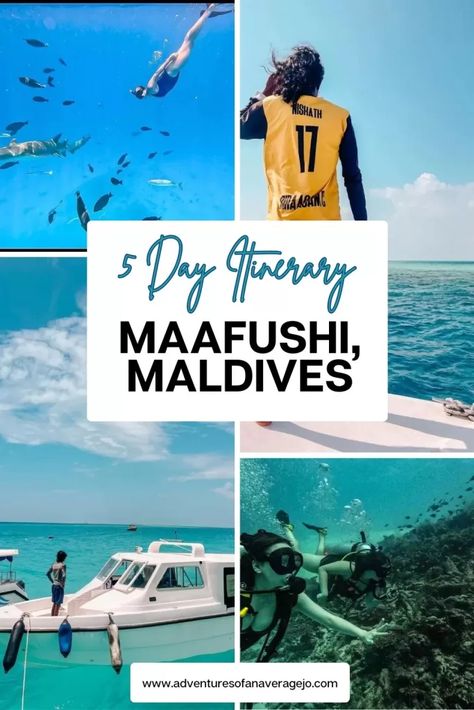 The Perfect 5 Day Budget Maafushi Itinerary - Adventures of An Average Jo The Maldives, Budget Travel, Maldives, Budgeting, Things To Do, How To Plan