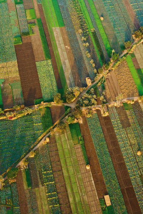 Patchwork (in Egypt) || Michael Poliza Aerial Photography People, Aerial Photography City, Farm Fields, Aerial Landscape, Location Unknown, Aerial Photography Drone, View Photography, Aerial Arts, Photography Beach