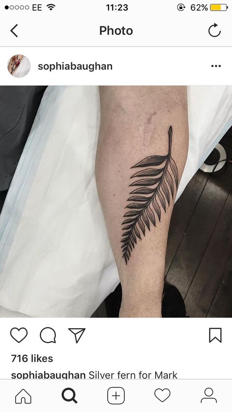 really want a new Zealand fern tattoo New Zealand Fern Drawing, New Zealand Fern Tattoo Design, Fern Tattoo New Zealand, Silver Fern Tattoo New Zealand, Nz Fern Tattoo, New Zealand Fern Tattoo, Silver Fern Tattoo, New Zealand Tattoo Ideas, Tattoo Fern