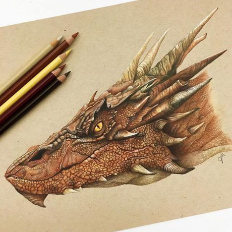 Intricate Smaug Pencil Drawing Smaug Tattoo, Smaug Dragon, Pencil Drawing Tutorials, Dinosaur Drawing, Nature Drawing, Dragon Head, Dragon Artwork, Drawing Supplies, Dragon Drawing