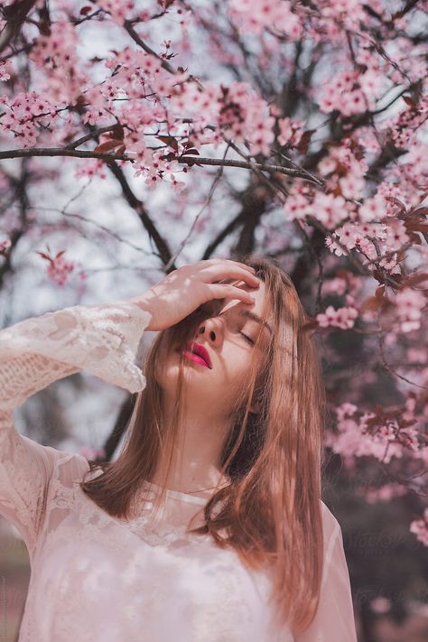 Pink Blossom Tree, Blossom Tree, Pink Blossom, Pink Flowers, Blossom, Cherry, Flowers, Pink