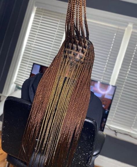 Peek A Boo Knotless Braids, Peekaboo Color, Individual Braids, Hair Braiding, Slick Hairstyles, Black Hair Care, Business Hairstyles, Braided Hairstyles For Black Women, Braid Hairstyles