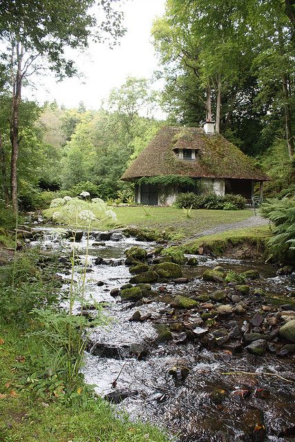 How beautiful, like a scene from a Thomas Hardy novel.  How I would love to spend some time here, hear the brook and walk along it and watch the kingfishers ... Stone Cottage With Porch, Irish Home Exterior, Connecticut Cottage, Cozy Cottage In The Woods, House On Mountain, House In The Forest, Scenic Nature, Irish Cottage, English Cottages