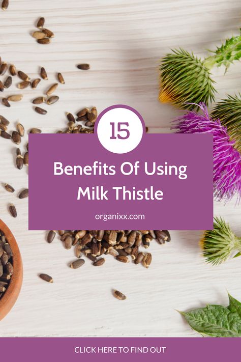 Thistle Benefits, Cycle Health, Milk Thistle Benefits, Heart Diet, Natural Detox, Milk Thistle, Body Detox, Immune Health, Natural Medicine