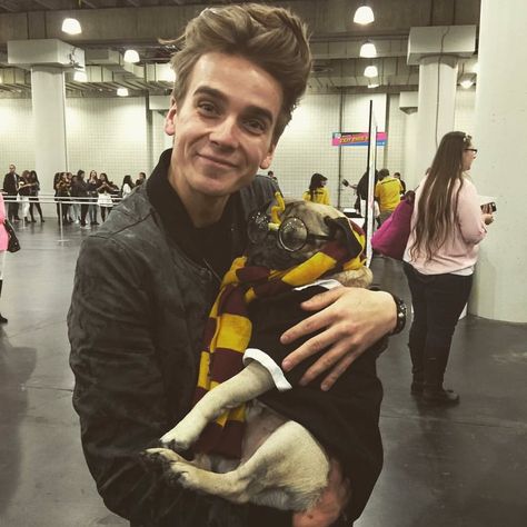 joe sugg with a pug  #thatcherjoe #joesugg #perfection Caspar Lee, Jack Harries, Doug The Pug, Ricky Dillon, Golden Retriever Funny, British Youtubers, Joey Graceffa, Joe Sugg, Kian Lawley