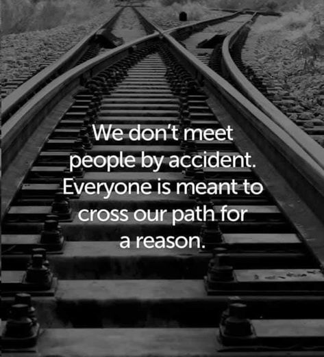 Meet Again Quotes, Accident Quotes, Loving Someone Quotes, Reason Quotes, Happy Morning Quotes, Birth Chart Astrology, Good Morning Life Quotes, Meant To Be Quotes, Our Path