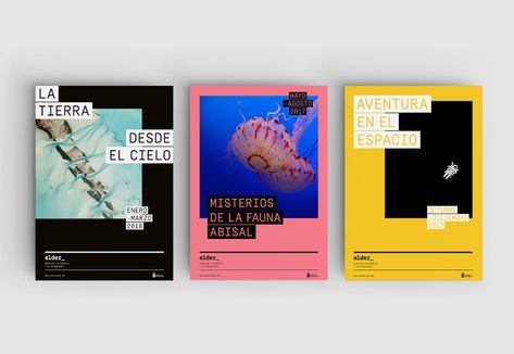 Latest Graphic Design Trends, Museum Branding, Museum Of Science, Museum Poster, Santa Catalina, Graphic Design Trends, Graphic Elements, Graphic Design Branding, Ad Design