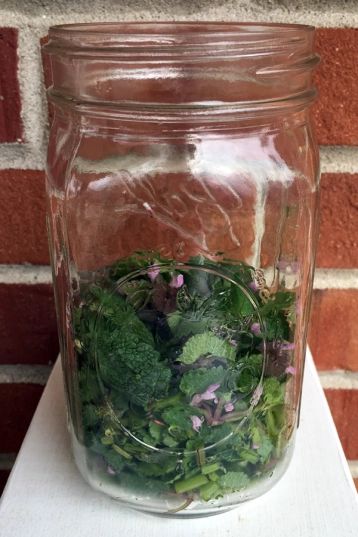 Allergy Sufferers Get Ahead with Purple Dead-nettle | Wisdom of the Plant Devas Midwest Foraging, Nettle Infusion, Purple Dead Nettle, Nettle Tincture, Nettle Recipes, Medicinal Weeds, A New Earth, Food Foraging, Medicinal Herbs Garden