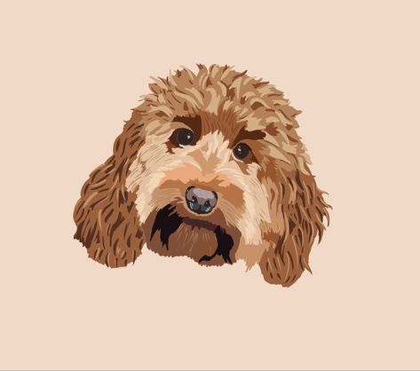 Dog Digital Illustration, Illustration Art Dog, Cockapoo Cartoon, Cockapoo Drawing, Cockapoo Illustration, Dog Illustration Cute, Dog Portraits Art, Illustration Dog, Cockapoo Dog