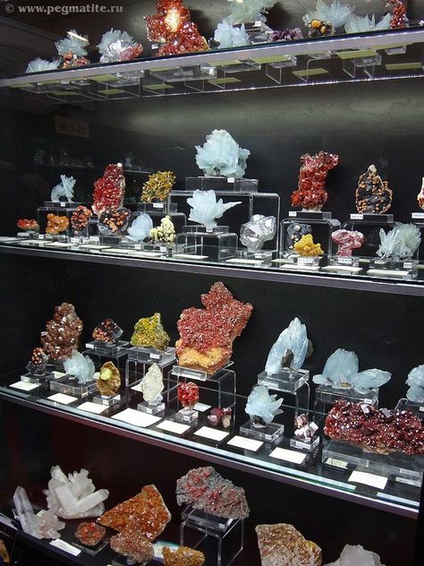 Mineral Museum Display, Rock And Mineral Display, Fossil Collection Display, Mineral Collection Display, Rock Collection Display, Rock Display, Minerals Museum, Decoration Vitrine, Mineral Display