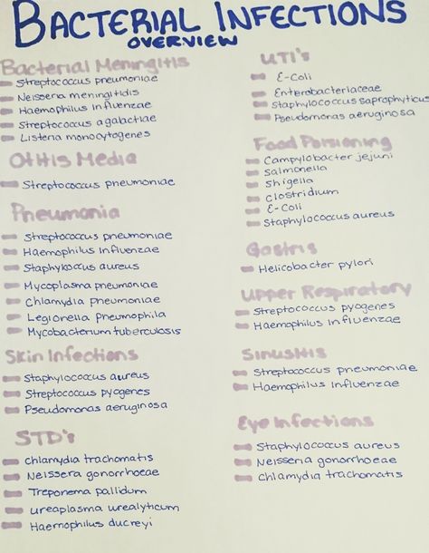 Infection Nursing Notes, Bacterial Classification, Pre Med Notes, Infection Preventionist, Pediatrics Aesthetic, Picc Nurse, Medical Laboratory Science Student, Microbiology Study, Med Lab