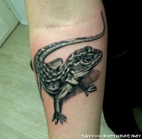 tattoo-lezard -2 Iguana Tattoo, Natur Tattoo Arm, Gecko Tattoo, Lizard Tattoo, Horned Lizard, Inner Forearm Tattoo, Forearm Tattoo Design, Inner Forearm, Komodo Dragon