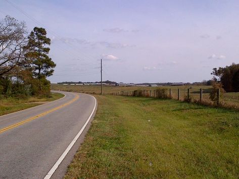 Roll The Windows Down And Take A Drive Down Savannah River National Scenic Byway In South Carolina Southern Gothic Aesthetic, South Carolina Vacation, South Carolina Travel, Panning For Gold, A Secret Garden, Southern Gothic, Hidden Beach, The Secret Garden, Scenic Byway