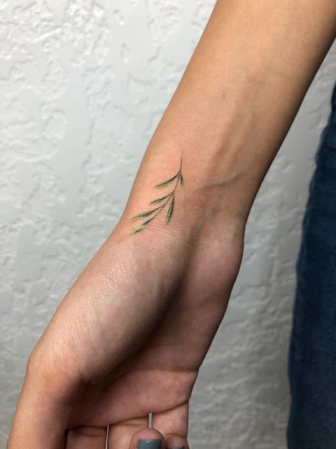 Olive Leaf Tattoo Small, Willow Leaf Tattoo Small, Olive Brand Tattoo, Willow Tree Leaf Tattoo, Small Ivy Tattoo, Weeping Willow Branch Tattoo, Olive Leaves Tattoo Design, Willow Leaf Tattoo, Willow Branch Tattoo