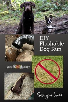 Build a DIY Flushable Dog Run and Save Your Lawn! Diy Dog Run, Backyard Dog Area, Dog Potty Area, Kennel Ideas Outdoor, Building A Dog Kennel, Dog Friendly Backyard, Dog Backyard, Dog Run, Dog Toilet