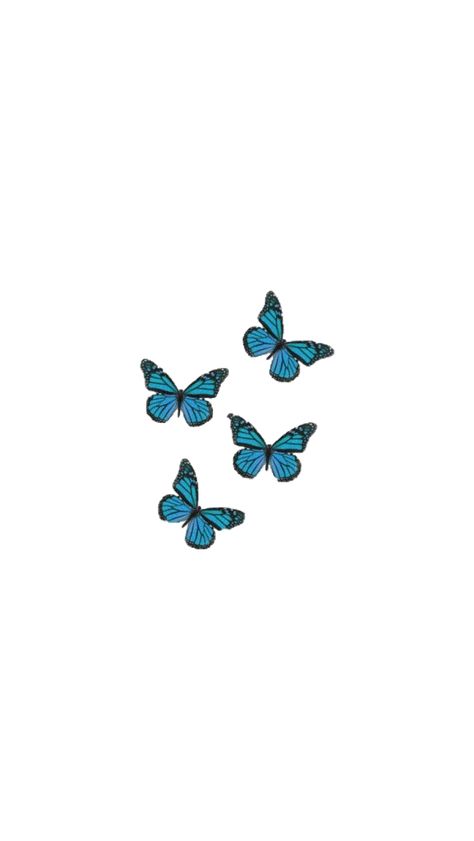 Flower Aesthetic Sticker, Blue Flower Aesthetic, Frühling Wallpaper, Butterfly Wallpapers, Wallpaper Butterfly, Aesthetic Usernames, Wallpapers Beautiful, Poppy Wallpaper, Beautiful Cartoon