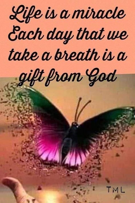 Bible Study Images, Butterfly Sayings, Butterfly Blessings, Cute Good Morning Gif, Study Images, Good Morning Wishes Gif, Butterfly Embellishment, Good Morning Spiritual Quotes, Butterfly Quotes