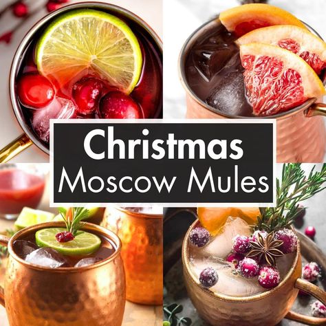 These Christmas Moscow Mules are all festive variations on the classic Moscow Mule cocktail recipe. Easy to make for a crowd. Seasonal Moscow Mules, Large Batch Moscow Mule, Mules Drink Recipes, Moscow Mule Christmas, Winter Moscow Mule, Christmas Moscow Mule Recipe, Christmas Mule Cocktail, Christmas Mules, Merry Mule