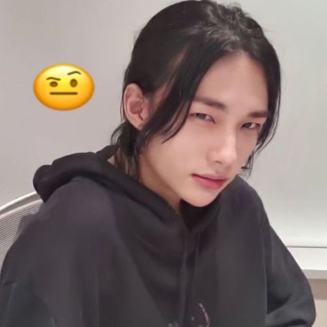 Hyunjin Silly Hyunjin Pics, Hyunjin Goofy Pics, Hyunjin Mad Face, Hyunjin Silly, Hyunjin Memes, Scream Meme, Skz Meme, Mad Face, Kids Zoo