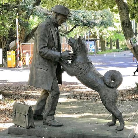 Visit Japan: Many people are familiar with the statue of Hachiko in Shibuya, Tokyo, in memory... #Visitjapan, #Art, #VisitJapan, #VisitJapanAU https://www.alojapan.com/364299/visit-japan-many-people-are-familiar-with-the-statue-of-hachiko-in-shibuya-tokyo-in-memory/ . Hachiko Dog, Hachiko Statue, Snow Puppy, Japanese Mythology, Shibuya Tokyo, Akita Dog, 80th Anniversary, The Loyal, Cult Movies