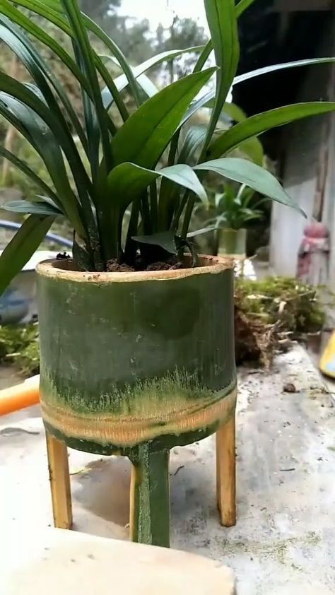 Bamboo Furniture Diy, Bamboo Restaurant, Bamboo Vase, Bamboo Diy, Bamboo Planter, Bamboo House Design, Sichuan China, Bamboo Decor, Bamboo Architecture