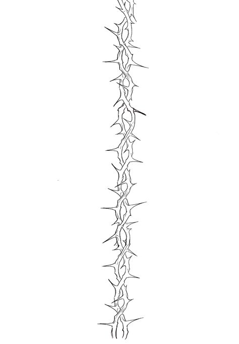 Rose With Thorns Spine Tattoo, Forearm Thorn Tattoo, Barbed Wire Spine Tattoo, Thorn Wrist Tattoo, Thorn Spine Tattoo, Wrap Around Arm Tattoos For Men, Thorny Vine Tattoo, Vine Tattoo Men, Thorn Tattoo Design