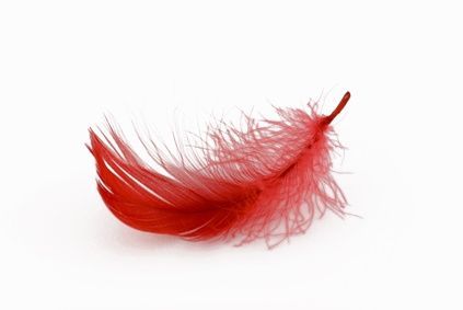 How to Dye Feathers With Food Coloring Hippy Costume, Feather Diy, Feather Crafts, Feather Art, Upcycle Recycle, Feather Jewelry, Fly Tying, Diy Arts And Crafts, Food Coloring