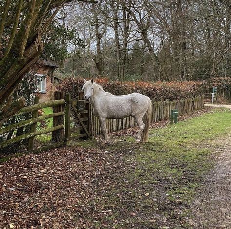 Vintage Farm Aesthetic, British Countryside Aesthetic, British Farm, Farm Aesthetic, Backyard Flowers Garden, British Country, Farm Fence, Romantic Cottage, British Countryside