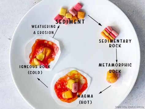 Starburst Rock Cycle Experiment - Simple Living. Creative Learning Rocks Year 3 Science, Grade 4 Rocks And Minerals, Starburst Rock Cycle Activity, Rock Cycle Project Ideas, Geology Activities For Kids, Rock Cycle Model, Starburst Rock Cycle, Rocks And Minerals Activities, Rock Cycle Project