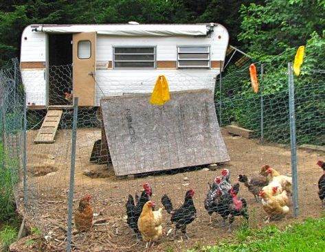 Camper Into Chicken Coop, Rv Chicken Coop, Caravan Chicken Coop, Patriotic Chicken Coop, Chicken Coop Camper, Chicken Coop Camper Ideas, Old Camper Chicken Coop, Camper To Chicken Coop, Trailer Chicken Coop Ideas