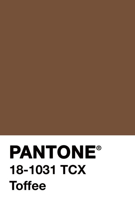 Toffee Color, Mocha Mousse, Cocoa Brown, Summer Colors, Brown Fashion, Toffee, Color Trends, The North Face Logo, Mocha