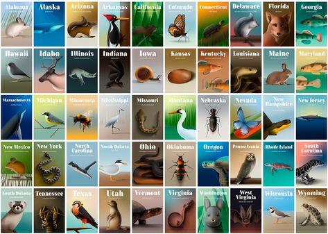 Behance :: For You Spotted Turtle, Big Whale, Alabama Beaches, Endangered Wildlife, Flying Squirrel, Prairie Dog, Animal Species, U.s. States, Endangered Species