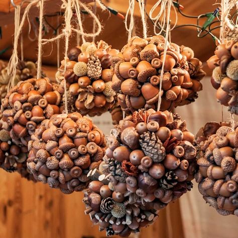 8 Things You Can Make With All of Those Acorns Homemade Photo Frames, Acorn Decorations, Outside Fall Decor, Acorn Crafts, Easy Fall Crafts, Cones Crafts, Pine Cone Crafts, Autumn Crafts, Pumpkin Crafts