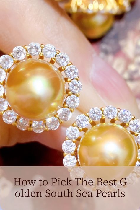 Read this article and discover why Golden South Sea pearls are an excellent choice and how to ensure you get the right ones for your wardrobe! Golden South Sea Pearls, South Seas, Sea Pearls, South Sea Pearls, Tahiti, Smooth Texture, Are You The One, Texture, Wardrobe