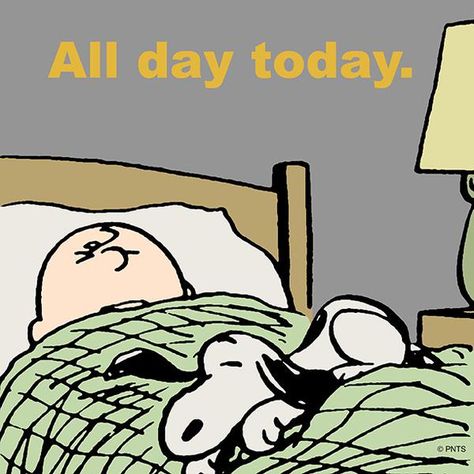 All day today -- yep, this is what my dog does when I'm sick and in bed. Snoopy Sleep, Snoopy Sleeping, Charles Shultz, Charlie Brown Characters, Peanut Gallery, Snoopy Stuff, Sleep Late, Happy Images, Peanuts Cartoon