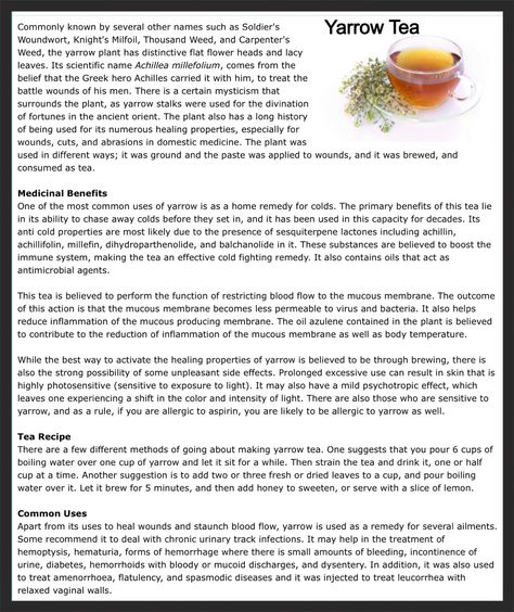 Yarrow Tea Benefits Of Yarrow Tea, Yarrow Tea Benefits, Yarrow Benefits, Yarrow Tea, Herbal Living, Herbs Recipes, Herbal Benefits, Yarrow Plant, Herbal Garden