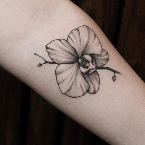 Ascension Tattoo (tm) Orlando on Instagram: “Orchid lower by Gibbs @gibbs_tattoo ... ... If your looking for some delicate minimalist tattoos and black and gray realism tattoos- hit…” Orchid Tattoo Men, Black Orchid Tattoo, Ascension Tattoo, Boxing Tattoos, Realism Tattoos, Orchid Tattoo, Chapel Hill Nc, Minimalist Tattoos, World Images