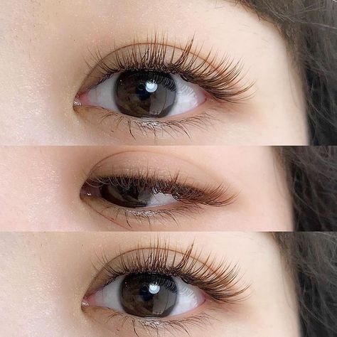 Natural Fake Eyelashes, Wispy Eyelashes, Eyelash Extensions Styles, Lash Extensions Styles, Perfect Eyelashes, Doll Eye Makeup, Natural Eyelash Extensions, Korean Eye Makeup, Eyelash Extentions