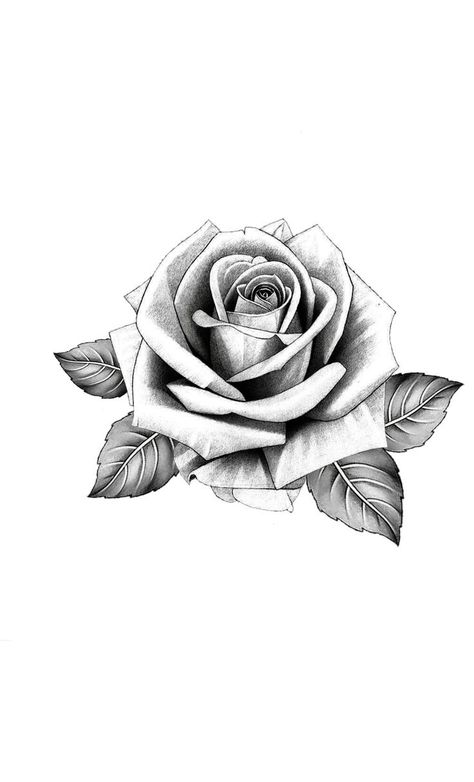 Dove And Rose Tattoo, Cool Animal Tattoos, Anklet Tattoos For Women, Rose Tattoo Stencil, Hip Tattoo Designs, White Rose Tattoos, Realistic Rose Tattoo, Rose Flower Tattoos, Medusa Tattoo Design