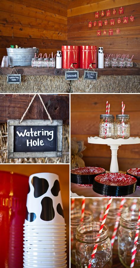 Barnyard Birthday Party, 60th Bday, Farm Theme Birthday, Country Birthday, Cowboy Baby Shower, Cowboy Birthday Party, Western Birthday, Barnyard Party, Cow Birthday