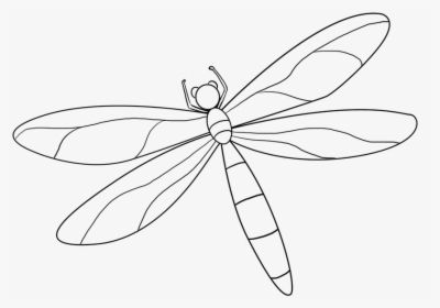 Dragonfly Black And White, Dragonfly Silhouette, Dragonfly Clipart, Black And White Png, Black And White Google, White Png, Silhouette Png, Clipart Black And White, Crafty Diy