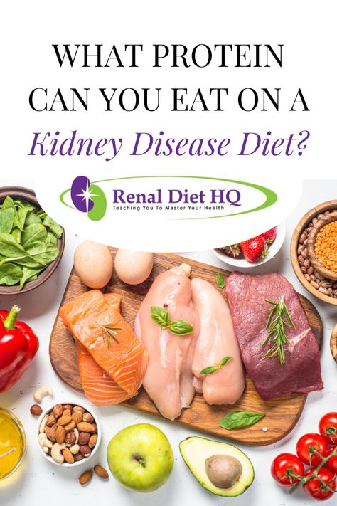 Following a kidney disease diet for chronic kidney disease (CKD)? Whether or not you're a vegetarian, it's important to know which type of protein you should eat versus avoid on the renal diet.  Learn about kidney disease diet food and restrictions here! | Renal Diet Protein | Renal Diet Food List Renal Diet Food List, Renal Diet Menu, Ckd Diet, Kidney Healthy Foods, Kidney Diet Recipes, Kidney Friendly Recipes Renal Diet, Healthy Kidney Diet, Renal Diet Recipes, Diet Protein