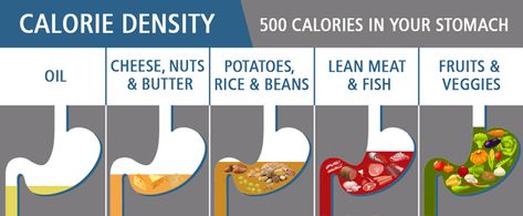 Different foods satiate you differently. Calorie Density Chart, Calorie Density, Nutrition 101, Most Effective Diet, Low Carb Diet Plan, Diet Plans For Women, Concept Diagram, Start Losing Weight, 500 Calories