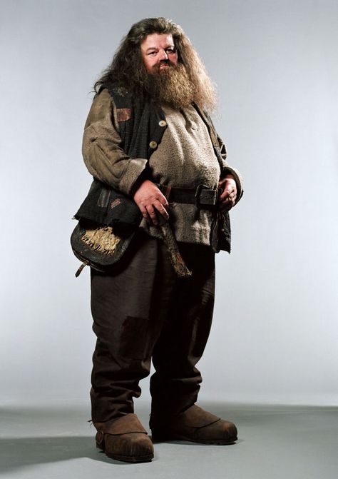 Hagrid Hagrid Cosplay, Hagrid Costume, Harry Potter Halloween Costumes, Robbie Coltrane, Rubeus Hagrid, Harry Potter Cosplay, The Prisoner, Harry Potter Halloween, The Prisoner Of Azkaban