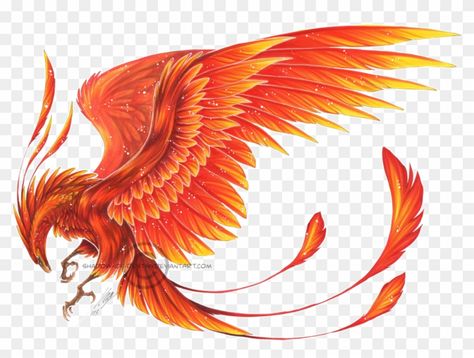 Ibong Adarna, Monster Beast, Phoenix Painting, Phoenix Bird Art, Phoenix Drawing, Phoenix Wings, Wings Flying, Phoenix Bird Tattoos, Phoenix Artwork