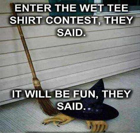 Wet Tee Shirt, Halloween Jokes, Funny Witch, Halloween Memes, Wet T Shirt, Everything Funny, Funny Captions, Halloween Cartoons, Holiday Humor